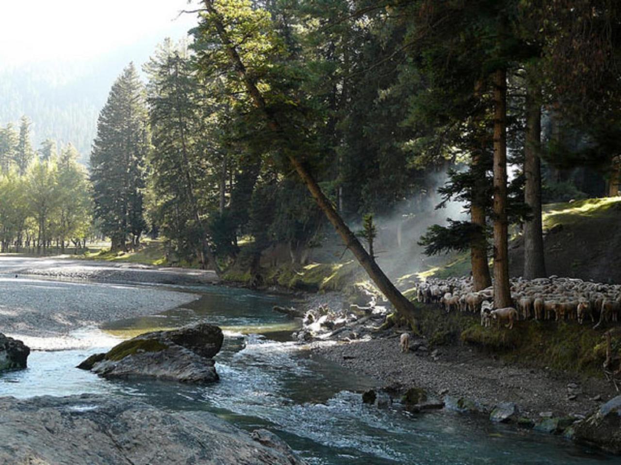 Hayat Hotel Pahalgam Exterior photo